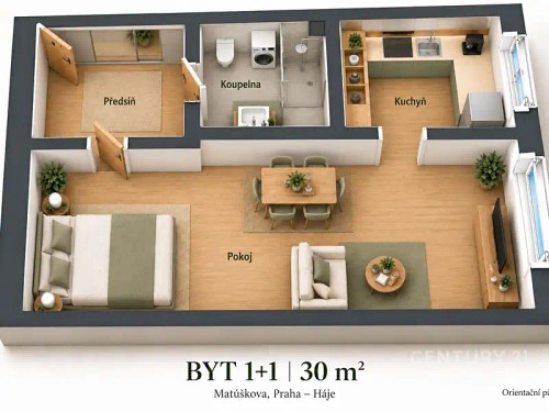 Prodej bytu 1+1 30 m²