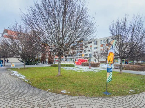 Prodej domu 220 m², pozemek 253 m²