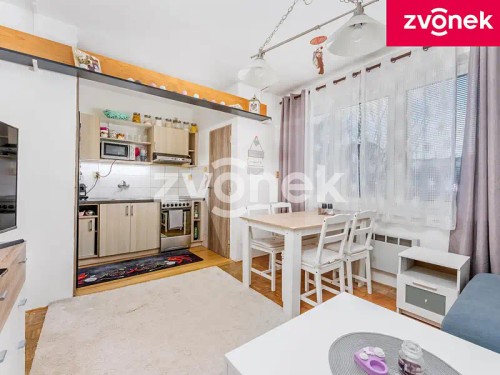 Prodej bytu 1+kk 56 m²