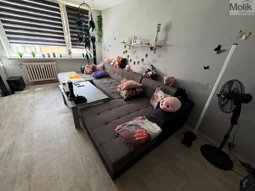 Prodej bytu 3+1 67 m²