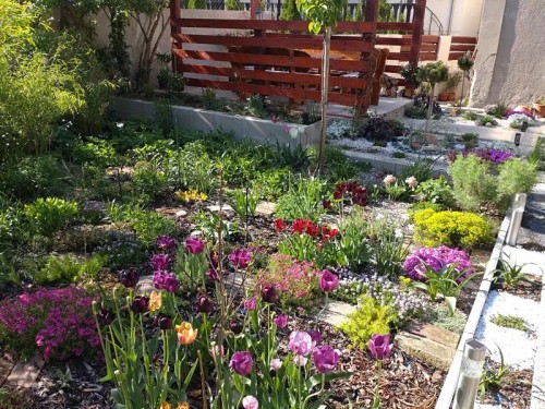 Prodej bytu 2+1 56 m²