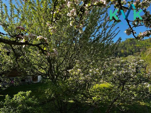 Prodej chaty 23 m², pozemek 392 m²