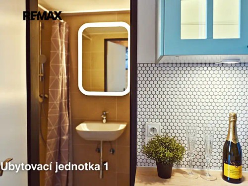 Prodaný byt 1+kk 25 m²
