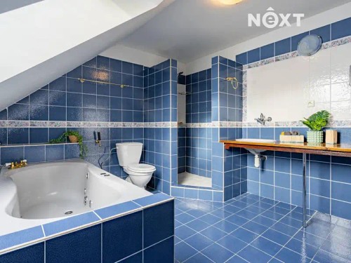 Prodej chalupy 360 m², pozemek 2756 m²