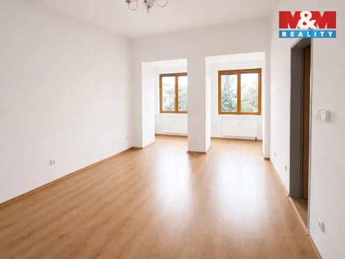 Prodaný  byt 1+1 55 m²