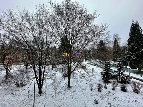 Prodej bytu 3+kk 55 m²