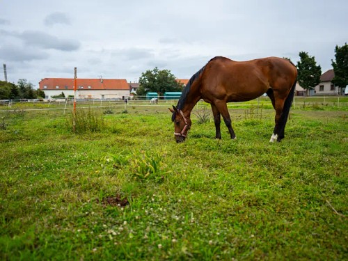 Prodaný byt 3+1 62 m²