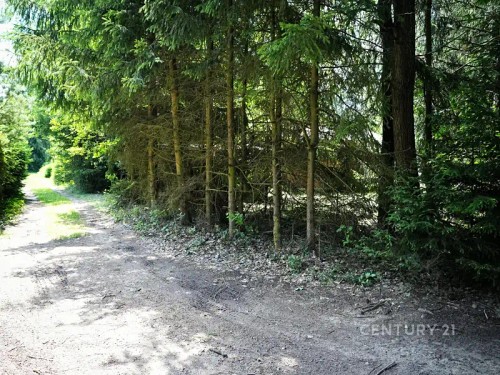 Prodej chaty 22 m², pozemek 393 m²