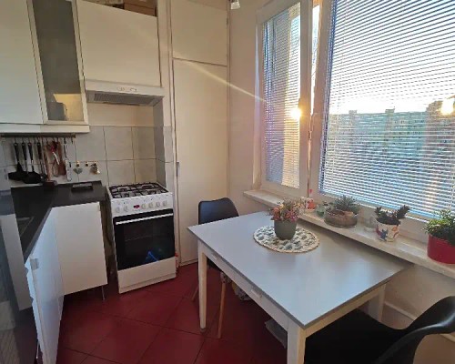 Prodej bytu 3+1 55 m²