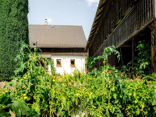 Prodej domu 300 m², pozemek 3679 m²