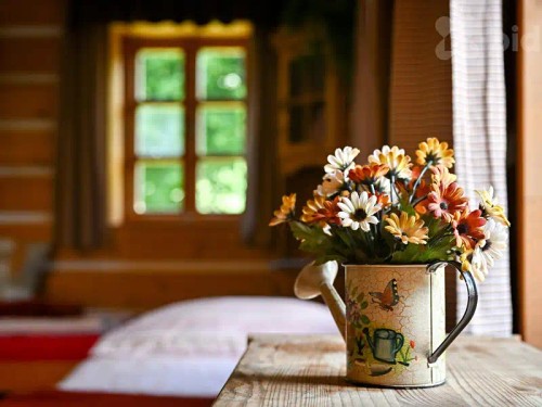 Prodej domu 50 m², pozemek 3738 m²