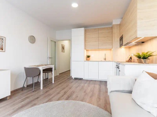 Prodaný  byt 1+kk 27 m²