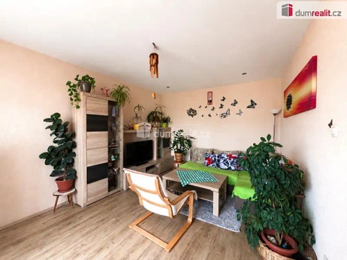 Prodej bytu 2+1 54 m²