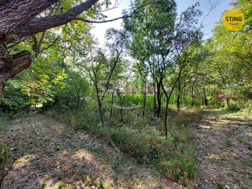 Prodej zemědělské usedlosti 260 m², pozemek 6448 m²