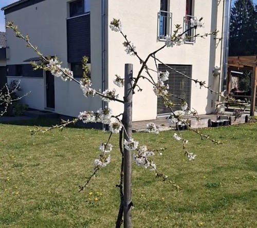 Prodej domu 110 m², pozemek 990 m²