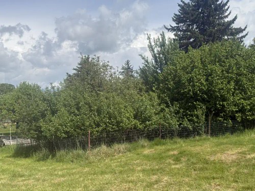Prodej domu 200 m², pozemek 5269 m²