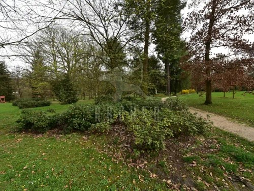 Prodej bytu 4+1 90 m²