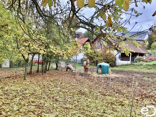 Prodej domu 220 m², pozemek 2215 m²