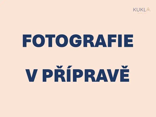 Prodej bytu 3+1 76 m²