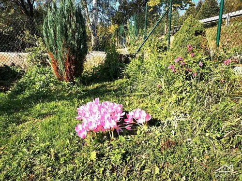 Prodej chaty 21 m², pozemek 658 m²