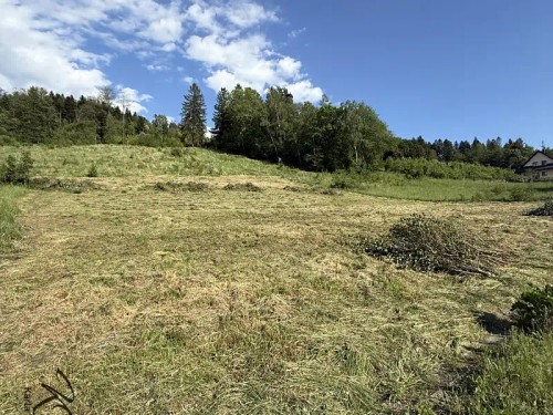 Prodej stavebního pozemku 2493 m²