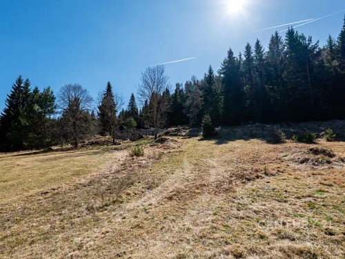 Prodej stavebního pozemku 10137 m²