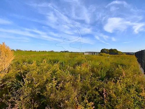Prodej stavebního pozemku 800 m²