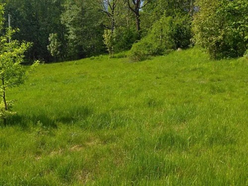 Prodej stavebního pozemku 1763 m²
