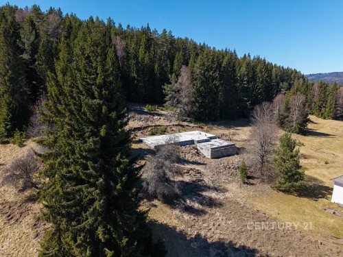 Prodej stavebního pozemku 10137 m²