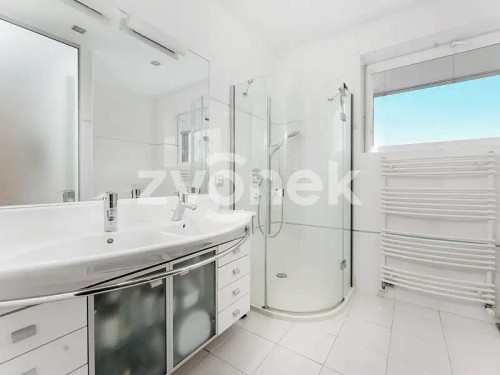 Prodej vily 479 m², pozemek 1503 m²