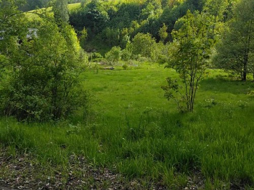 Prodej stavebního pozemku 1763 m²