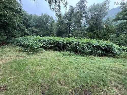 Prodej chaty 35 m², pozemek 4133 m²