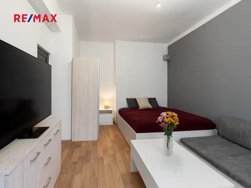 Prodaný byt 1+1 41 m²