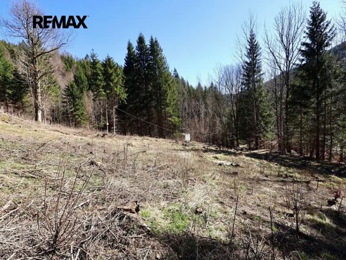 Prodej chaty 180 m², pozemek 7880 m²