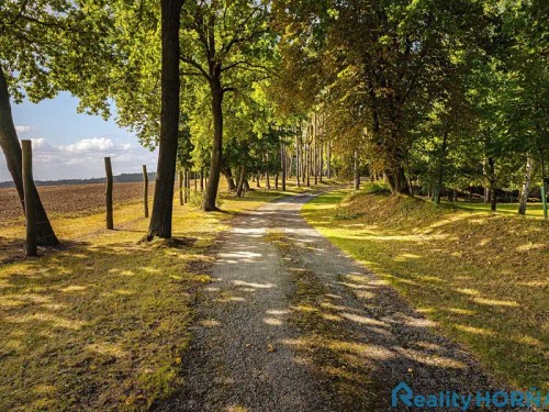 Prodej stavebního pozemku 17169 m²