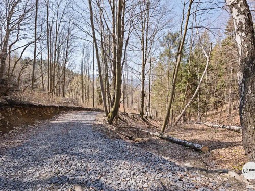 Prodej chalupy 120 m², pozemek 64360 m²