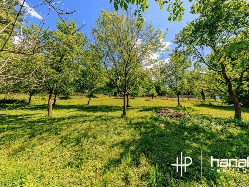 Prodej domu 277 m², pozemek 3924 m²