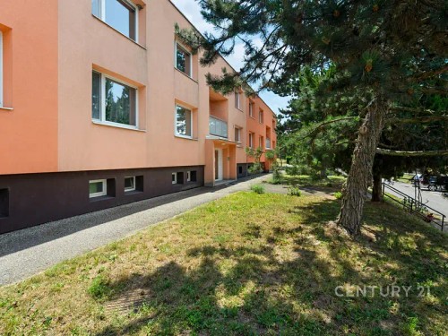 Prodej bytu 3+1 73 m²