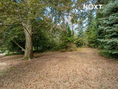 Prodej domu 140 m², pozemek 2839 m²