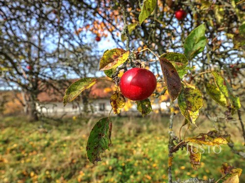 Prodej domu 116 m², pozemek 9463 m²