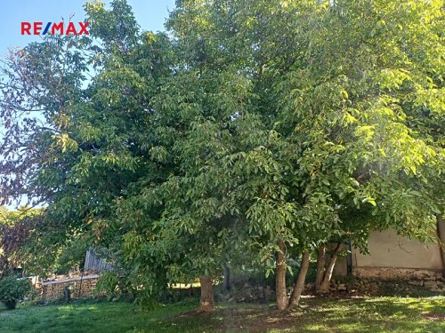 Prodej domu 200 m², pozemek 2250 m²