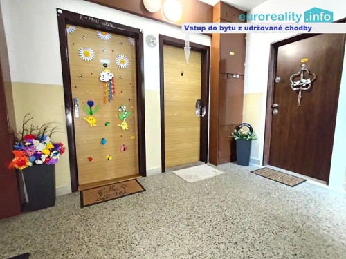 Prodej bytu 2+kk 46 m²