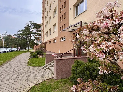Prodaný byt 2+1 50 m²