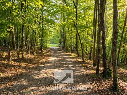Prodej chalupy 50 m², pozemek 187 m²