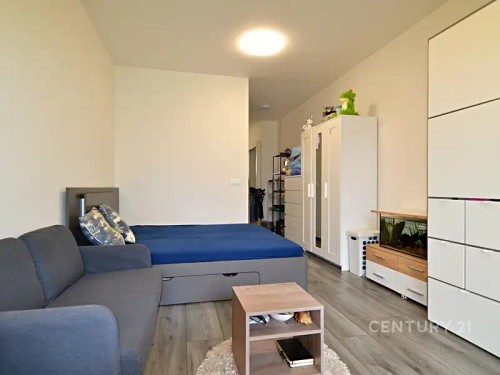 Prodaný  byt 1+kk 33 m²