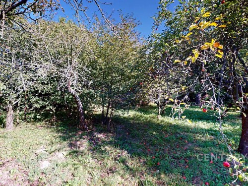Prodej domu 200 m², pozemek 3196 m²
