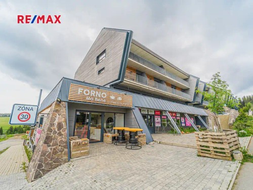 Prodaný byt 1+kk 25 m²