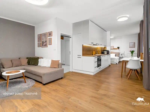 Prodej bytu 2+1 54 m²