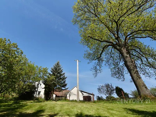 Prodej zemědělské usedlosti 210 m², pozemek 4000 m²