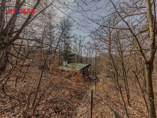 Prodej chaty 25 m², pozemek 41 m²